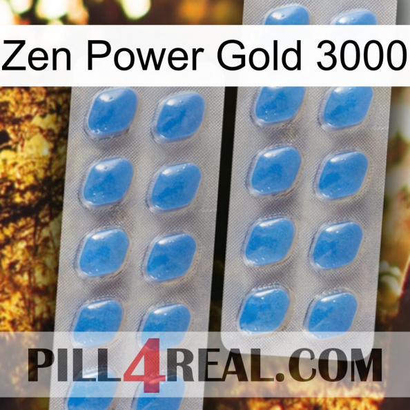 Zen Power Gold 3000 23.jpg